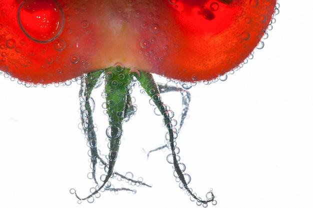 Le bolle d&#39;aria coprono foglie verdi di pomodoro rosso galleggianti nell&#39;acqua