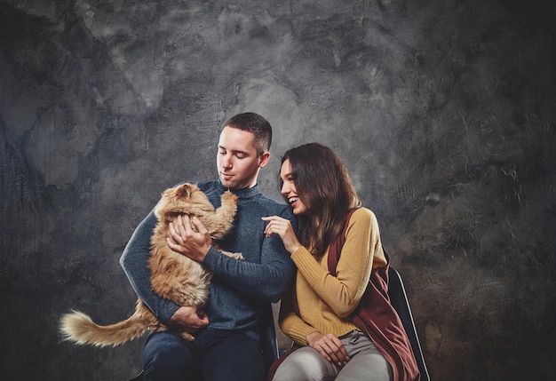 Le coppie attraenti felici stanno sedendosi allo studio fotografico con il gatto soffice dello zenzero.