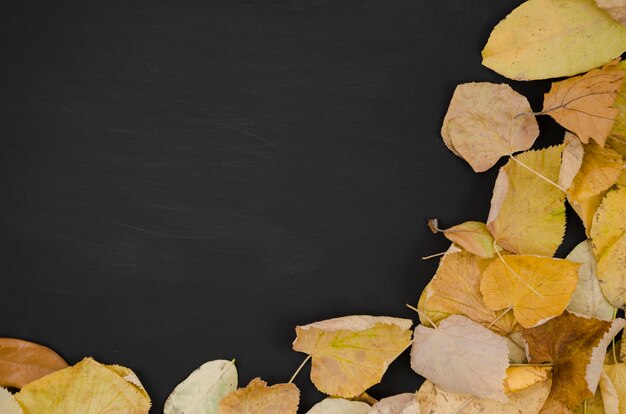 Le foglie d&#39;autunno distese con lo spazio della copia