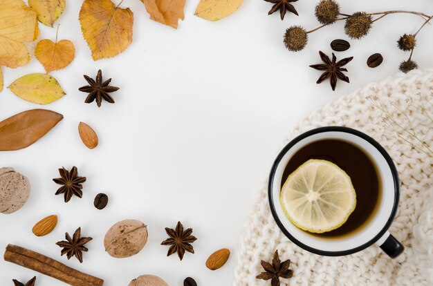 Le foglie d&#39;autunno distese con lo spazio della copia