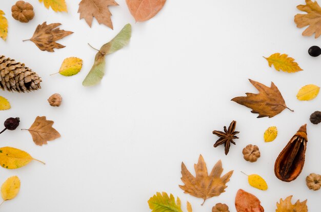 Le foglie d&#39;autunno distese con lo spazio della copia