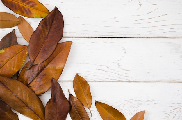 Le foglie d&#39;autunno distese con lo spazio della copia