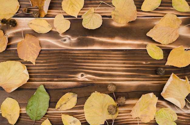 Le foglie d&#39;autunno distese con lo spazio della copia