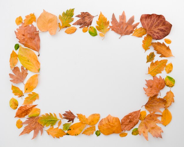 Le foglie d&#39;autunno distese con lo spazio della copia