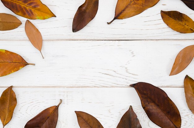 Le foglie d&#39;autunno distese con lo spazio della copia