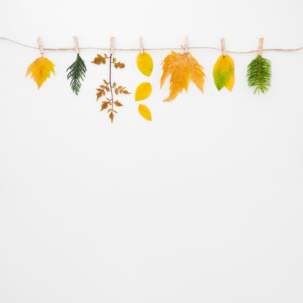 Le foglie d&#39;autunno distese con lo spazio della copia