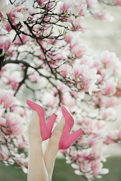 Le gambe della bella donna con le scarpe rosa sull'albero di magnolia in fiore