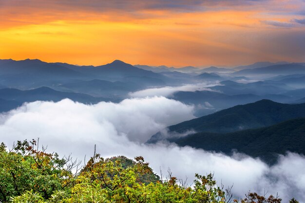 Le montagne di Seoraksan sono coperte dalla nebbia mattutina e dall'alba a Seoul, in Corea