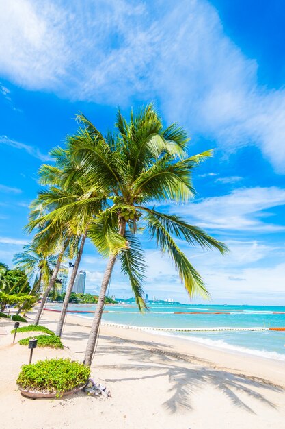 Le palme in una spiaggia