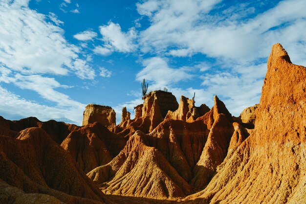 Le rocce sabbiose e le piante selvatiche nel deserto di Tatacoa, Colombia sotto il cielo nuvoloso