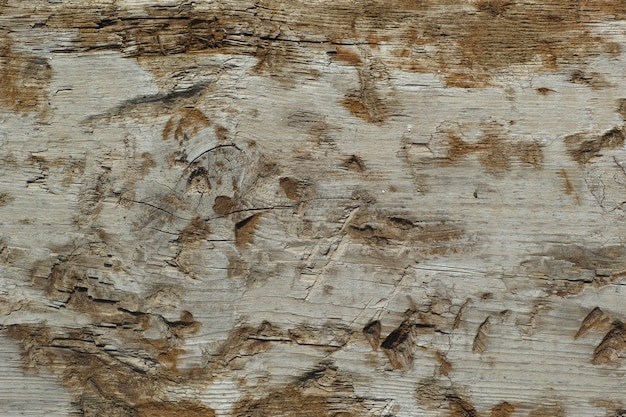 legno di fondo