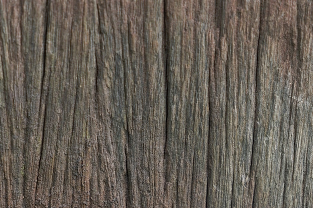 legno naturale di fondo in legno dettaglio