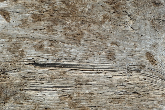 Legno vecchio sfondo