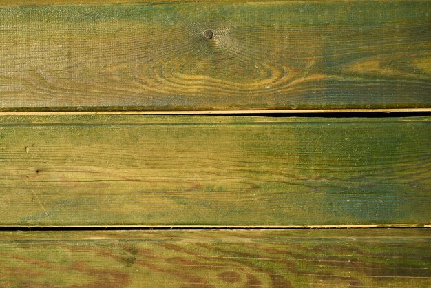 legno verde