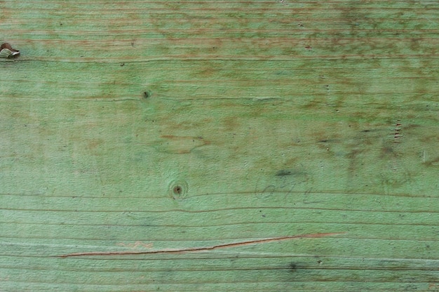 legno verde