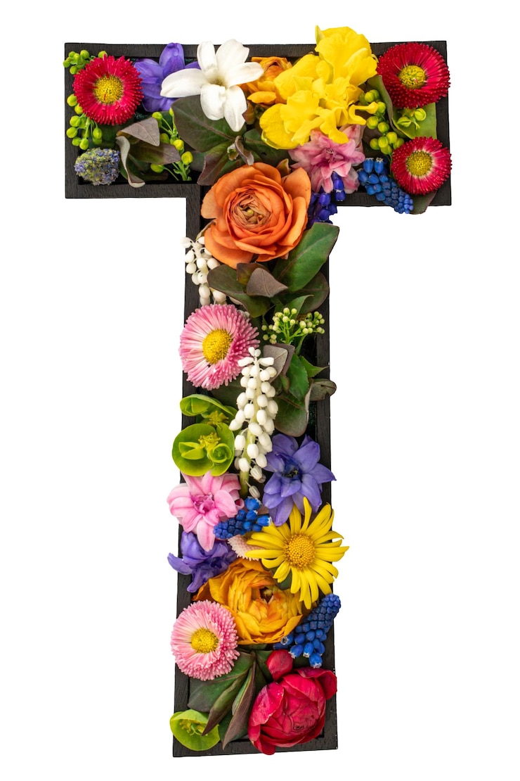 Foto gratuito lettera t fatta di fiori e foglie naturali reali su sfondo bianco isolato