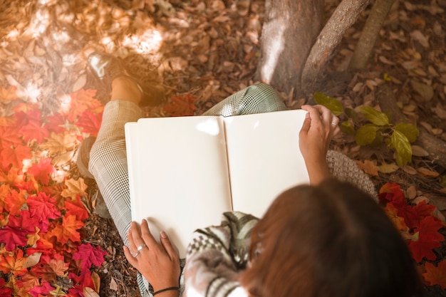 Lettura irriconoscibile della donna il giorno soleggiato in foresta