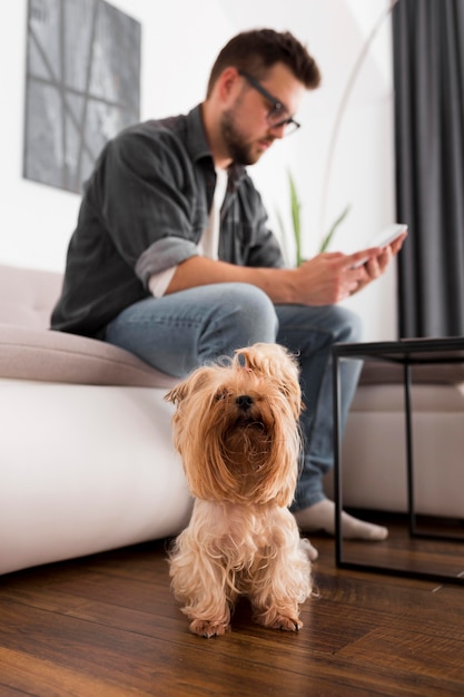 Libero professionista che lavora da casa accanto al suo animale domestico