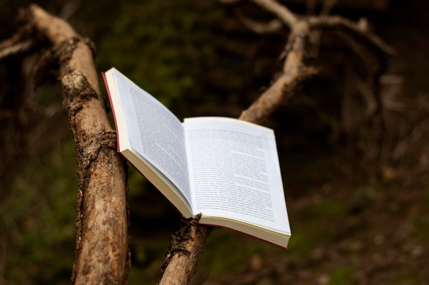 Libri e fantasia still life