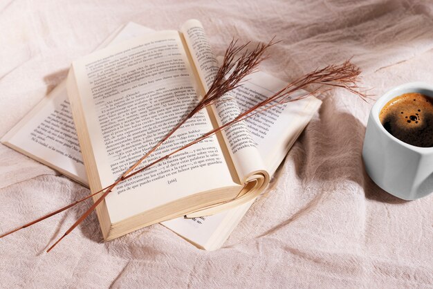 Libri e tazza da tè aperti ad alto angolo