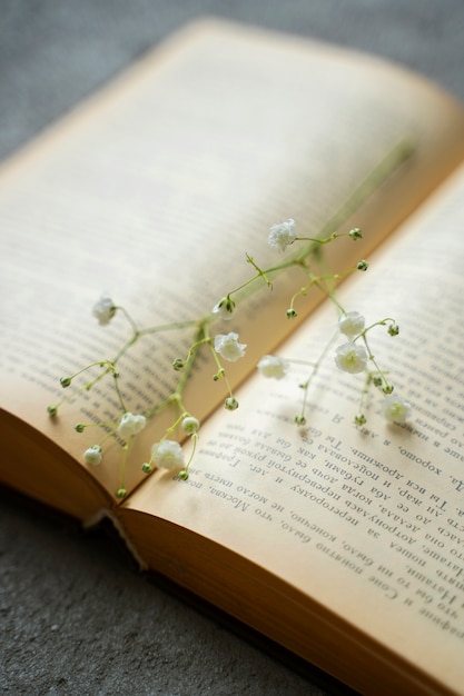 Libro aperto ad alto angolo con fiore