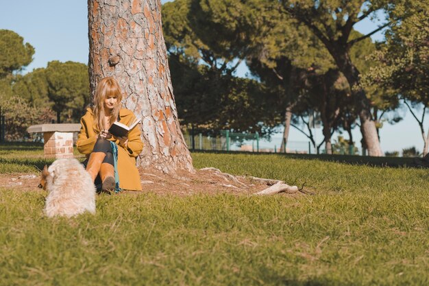 Libro di lettura donna sotto l&#39;albero