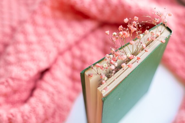 Libro verde con fiori secchi su un caldo maglione lavorato a maglia rosa