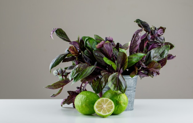 Limoni con foglie di basilico vista laterale su grigio e bianco