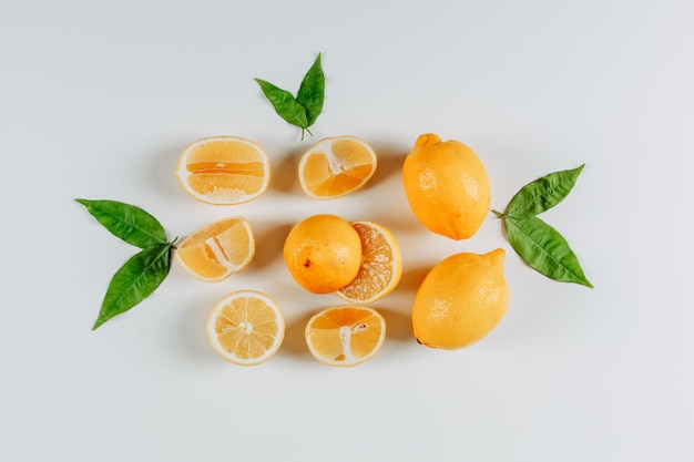 Limoni con foglie vista dall'alto su uno sfondo bianco