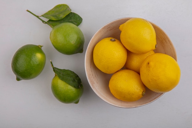 Limoni vista dall'alto in una ciotola con limette su sfondo bianco