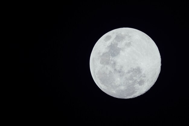 luna piena su sfondo scuro