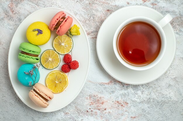 Macarons francesi di vista superiore con le fette di limone sullo spazio bianco