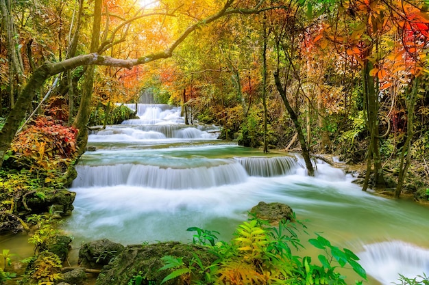 Maestosa cascata colorata nella foresta del parco nazionale durante l'autunno Immagine