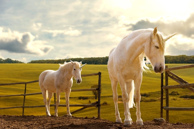 Magnifici unicorni in natura