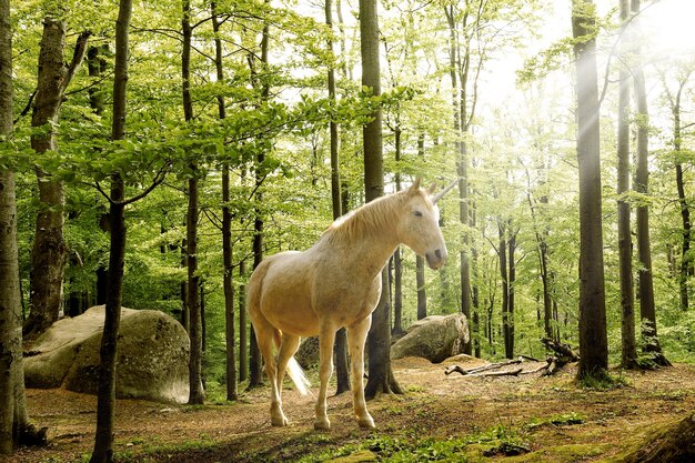 Magnifico unicorno in natura