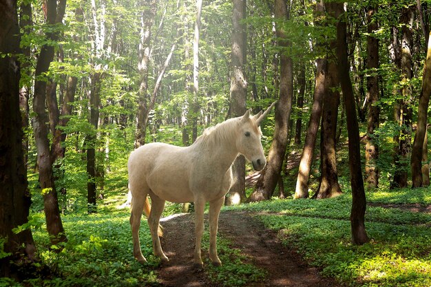 Magnifico unicorno in natura