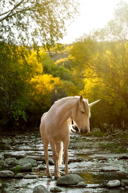 Magnifico unicorno in natura