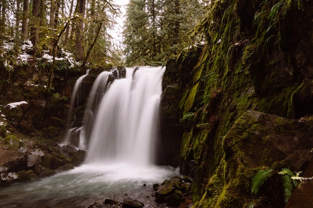 Majestic Falls