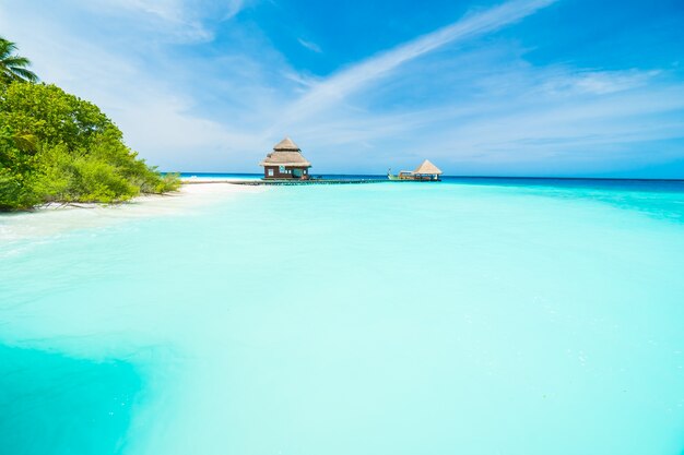 Maldive isola