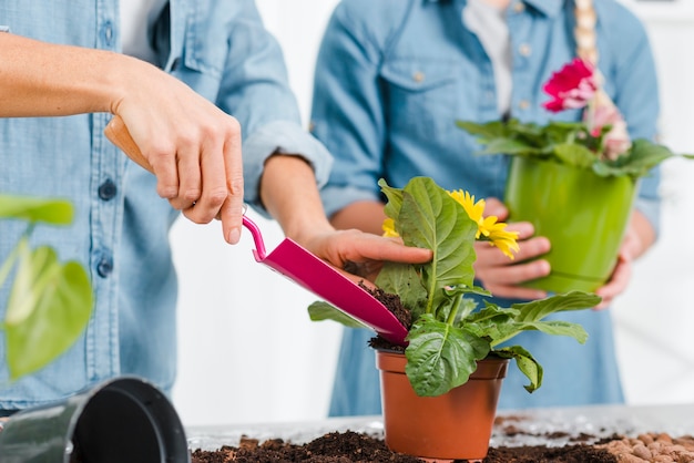 Mamma d'aiuto della figlia del primo piano per piantare i fiori