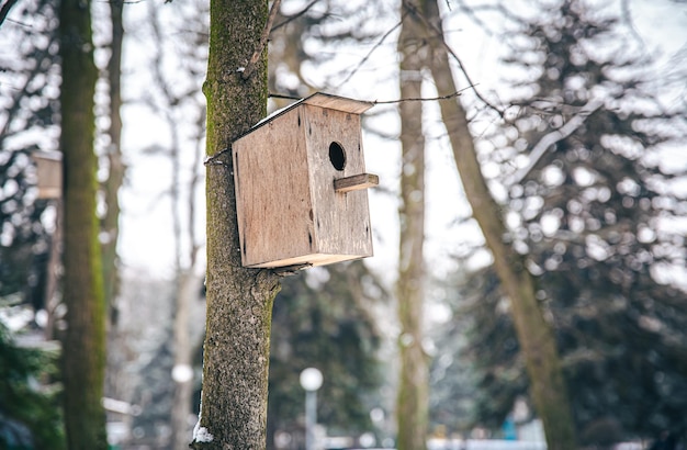 Mangiatoia in legno per uccelli nella foresta su un albero