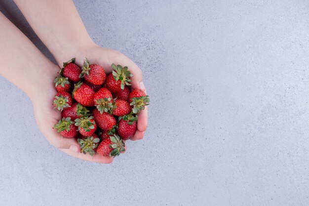 Mani a coppa che tengono un mucchio di fragole su fondo marmo. Foto di alta qualità