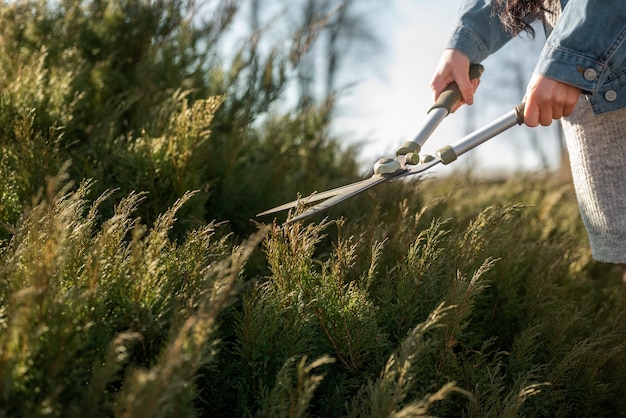 Mani che tengono le forbici da giardinaggio