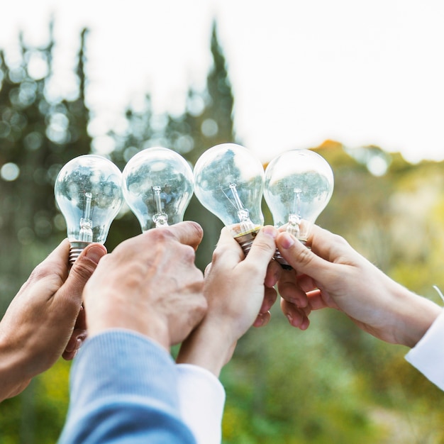 Mani che tengono le lampadine il giorno di ecologia