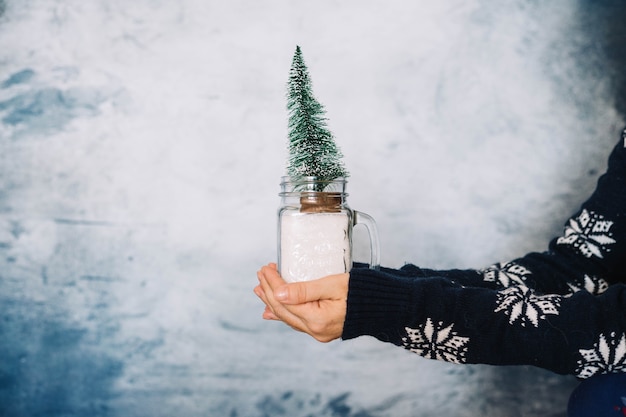 Mani che tengono piccolo albero di Natale