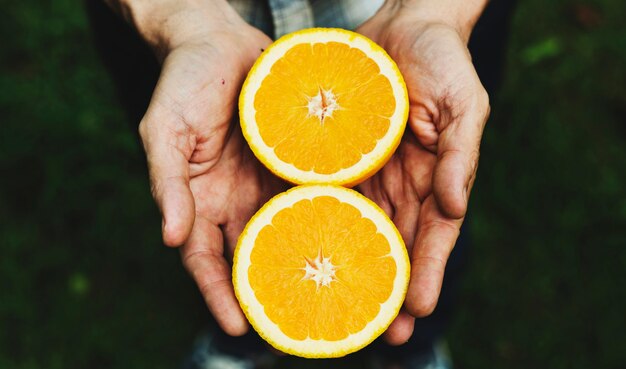 Mani che tengono prodotti biologici arancione dalla fattoria