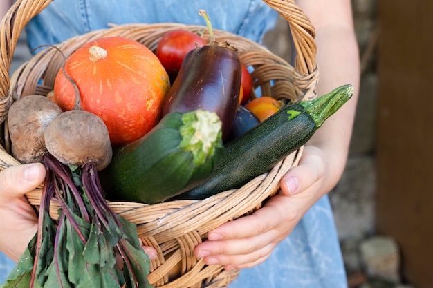 Mani del primo piano che tengono cestino con le verdure