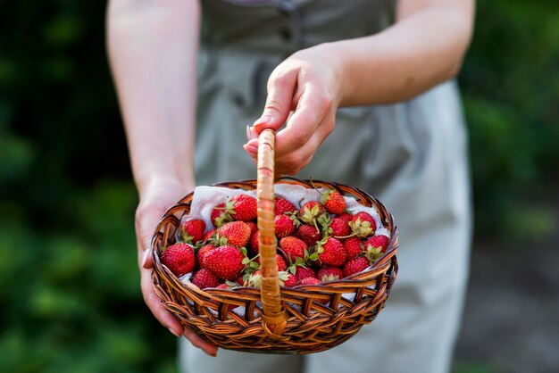 Mani del primo piano che tengono il cestino delle fragole