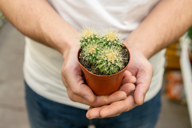 Mani del primo piano che tengono la piccola pianta del cactus