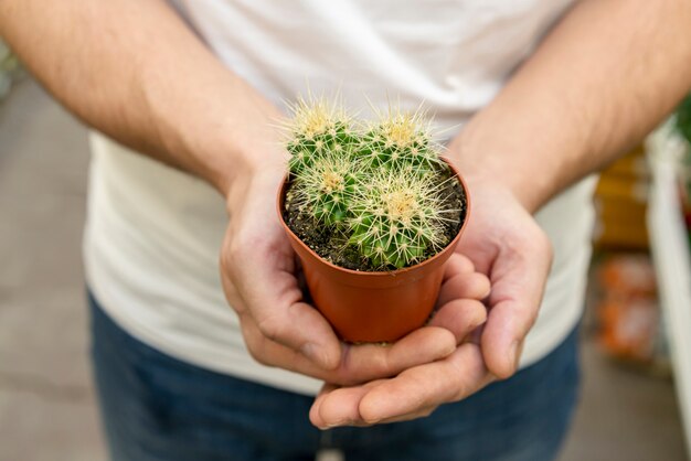 Mani del primo piano che tengono la piccola pianta del cactus